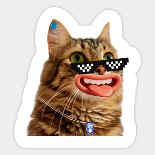 Cute crazy cat Sticker